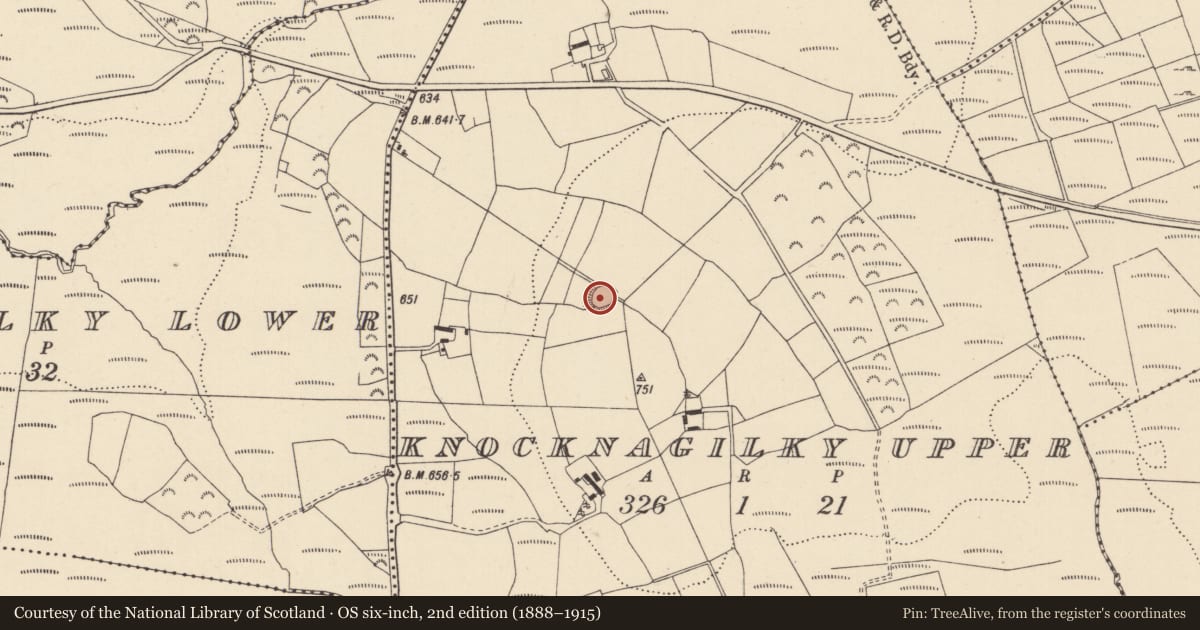 Ordnance Survey six-inch map, 2nd edition (1888–1915) covering the location of Ringfort - rath, Knocknagilky Upper, County Wicklow, with a pin at the register's coordinates