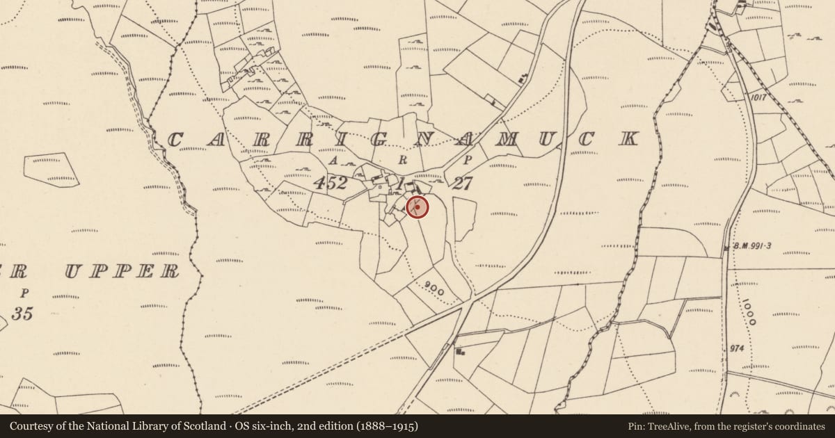 Ordnance Survey six-inch map, 2nd edition (1888–1915) covering the location of Hut site, Carrignamuck, County Wicklow, with a pin at the register's coordinates