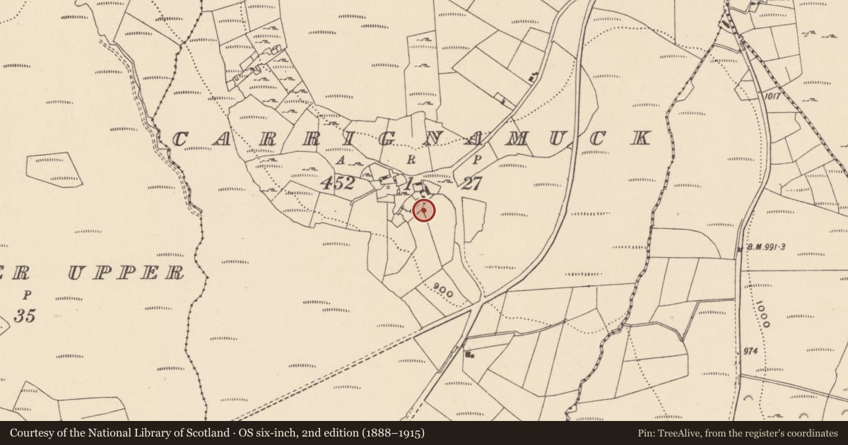 Ordnance Survey six-inch map, 2nd edition (1888–1915) covering the location of Hut site, Carrignamuck, County Wicklow, with a pin at the register's coordinates