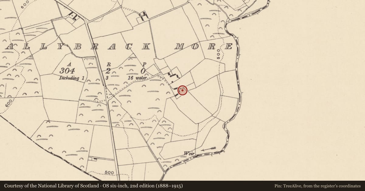 Ordnance Survey six-inch map, 2nd edition (1888–1915) covering the location of Enclosure, Ballybrack More, County Wicklow, with a pin at the register's coordinates