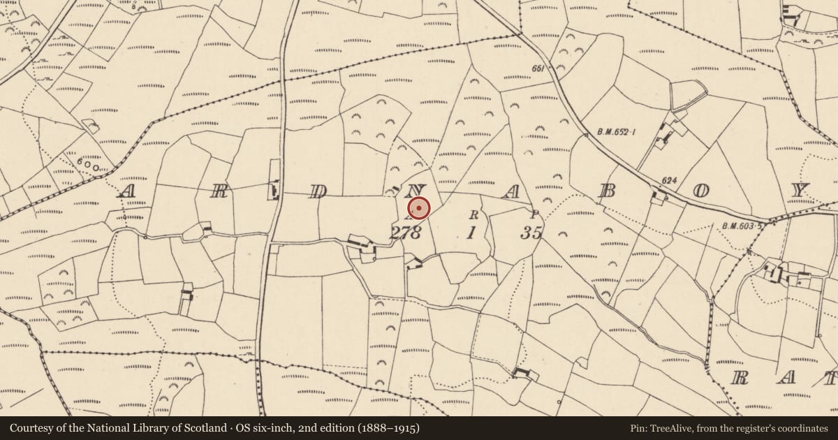 Ordnance Survey six-inch map, 2nd edition (1888–1915) covering the location of Enclosure, Ardnaboy, County Wicklow, with a pin at the register's coordinates