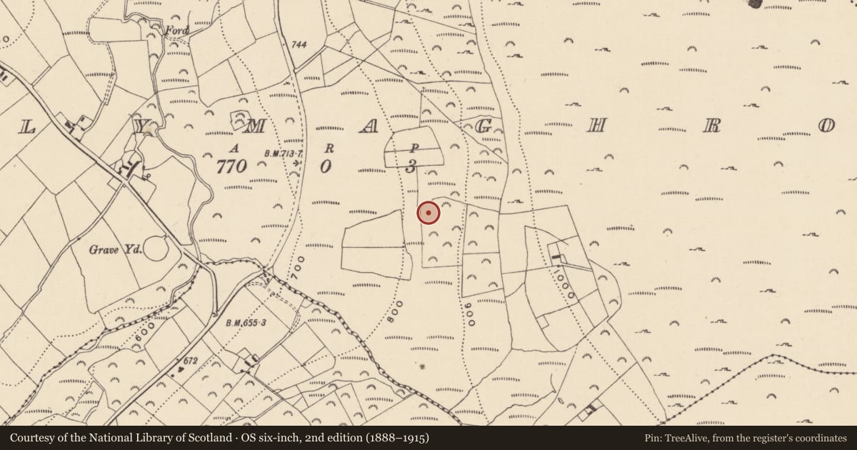 Ordnance Survey six-inch map, 2nd edition (1888–1915) covering the location of Enclosure, Ballymaghroe, County Wicklow, with a pin at the register's coordinates