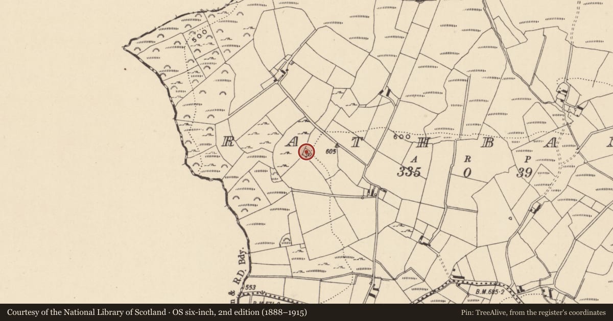 Ordnance Survey six-inch map, 2nd edition (1888–1915) covering the location of Ringfort - rath, Rathbane, County Wicklow, with a pin at the register's coordinates