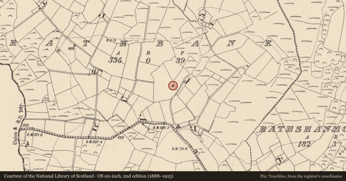 Ordnance Survey six-inch map, 2nd edition (1888–1915) covering the location of Hut site, Rathbane, County Wicklow, with a pin at the register's coordinates