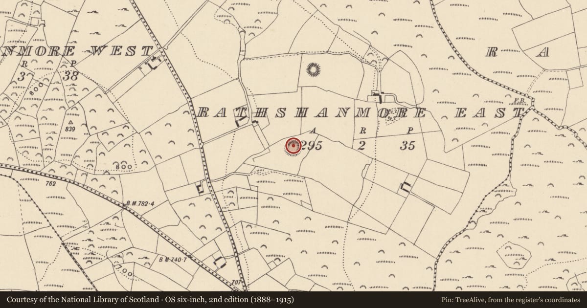 Ordnance Survey six-inch map, 2nd edition (1888–1915) covering the location of Ringfort - cashel, Rathshanmore East, County Wicklow, with a pin at the register's coordinates