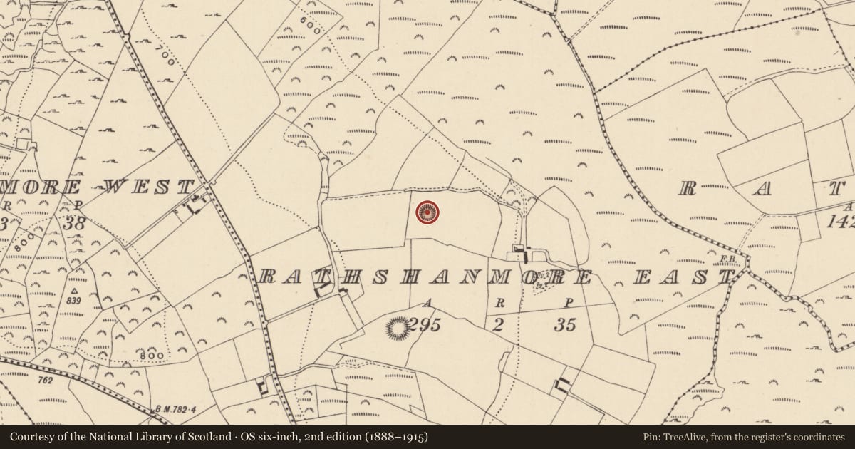 Ordnance Survey six-inch map, 2nd edition (1888–1915) covering the location of Ringfort - cashel, Rathshanmore East, County Wicklow, with a pin at the register's coordinates