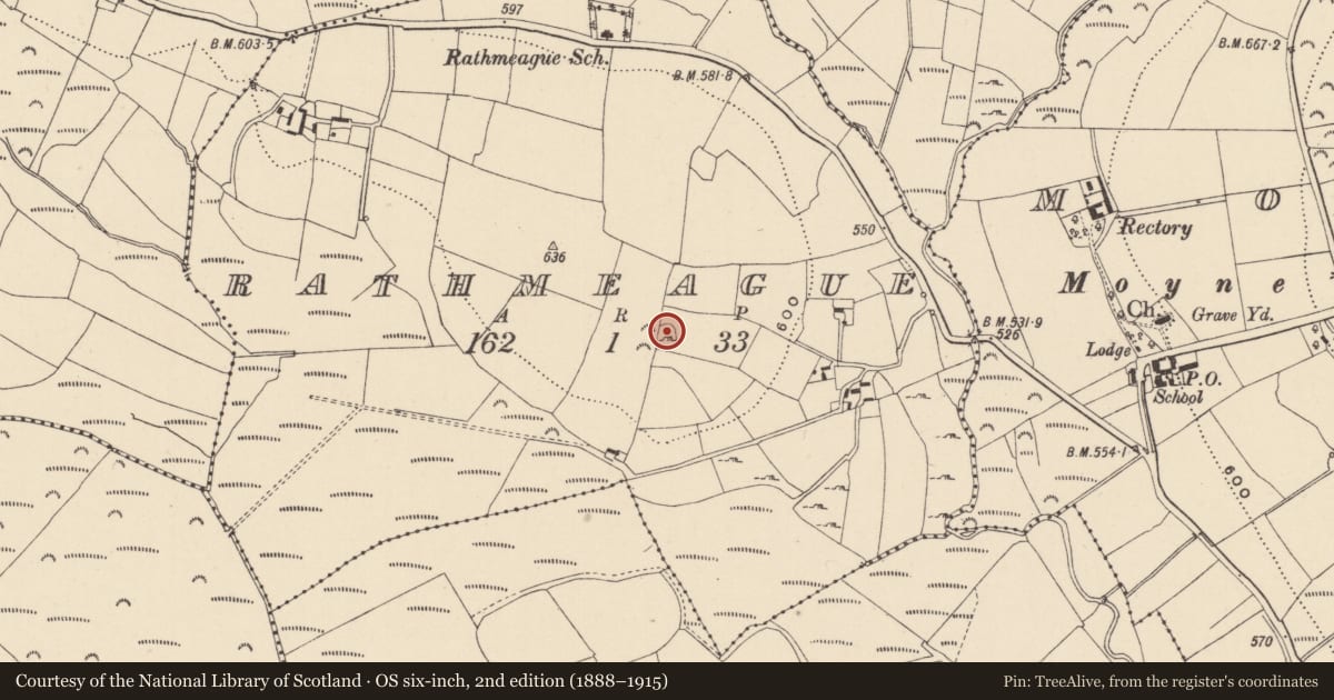 Ordnance Survey six-inch map, 2nd edition (1888–1915) covering the location of Enclosure, Rathmeague, County Wicklow, with a pin at the register's coordinates