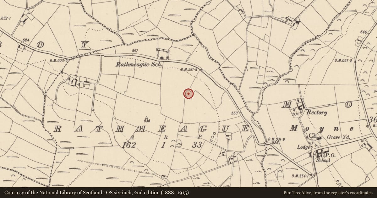 Ordnance Survey six-inch map, 2nd edition (1888–1915) covering the location of Enclosure, Rathmeague, County Wicklow, with a pin at the register's coordinates