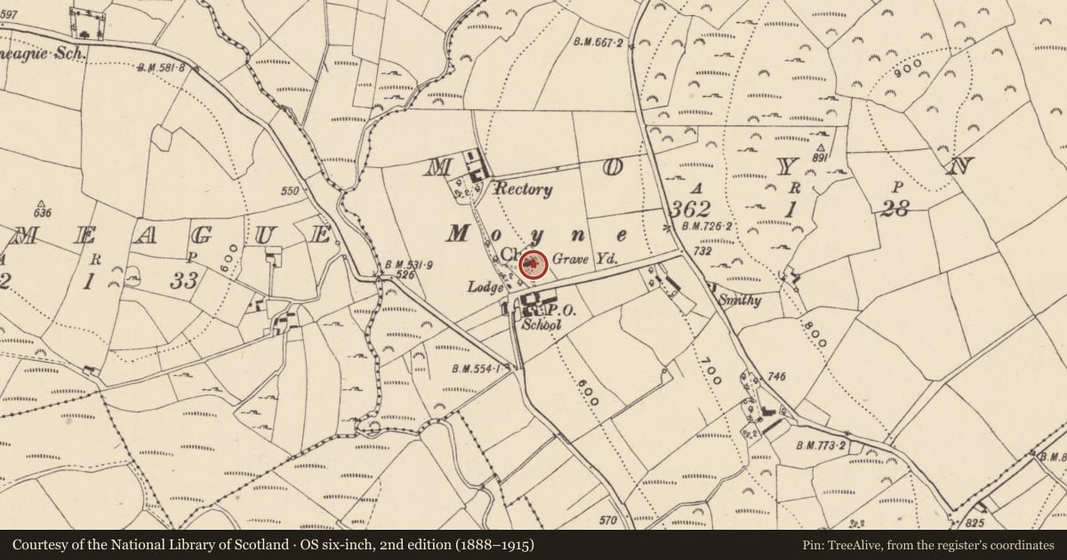 Ordnance Survey six-inch map, 2nd edition (1888–1915) covering the location of Graveyard, Moyne, County Wicklow, with a pin at the register's coordinates