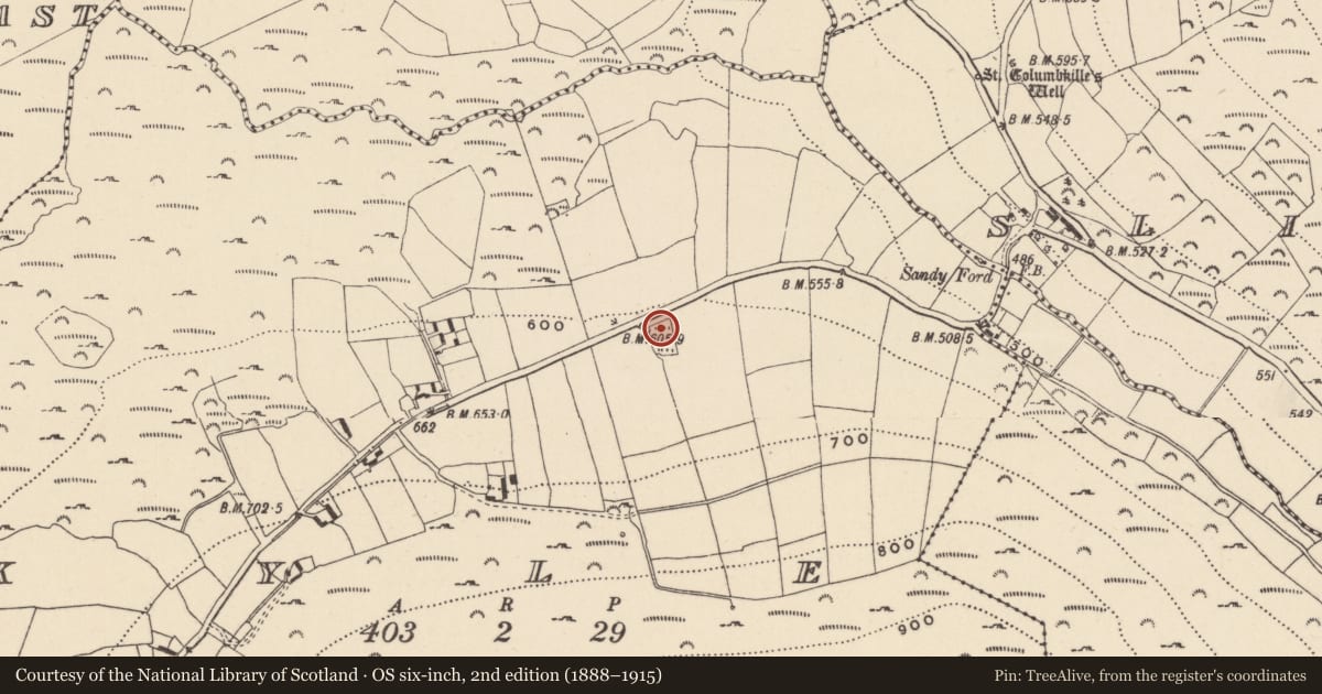 Ordnance Survey six-inch map, 2nd edition (1888–1915) covering the location of Children's burial ground, Kyle, County Wicklow, with a pin at the register's coordinates