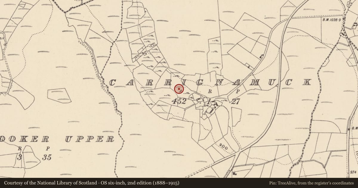 Ordnance Survey six-inch map, 2nd edition (1888–1915) covering the location of Hut site, Carrignamuck, County Wicklow, with a pin at the register's coordinates