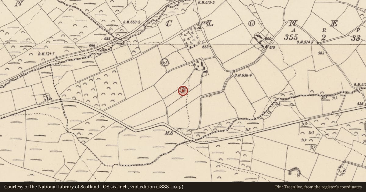 Ordnance Survey six-inch map, 2nd edition (1888–1915) covering the location of Ringfort - rath, Clonerkin, County Wicklow, with a pin at the register's coordinates