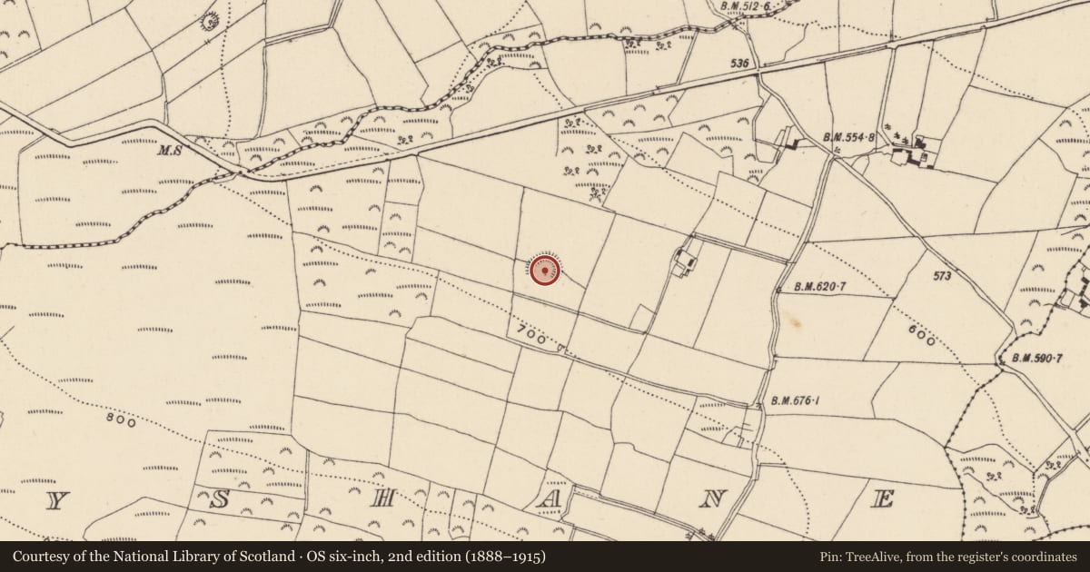 Ordnance Survey six-inch map, 2nd edition (1888–1915) covering the location of Ringfort - rath, Ballyshane, County Wicklow, with a pin at the register's coordinates