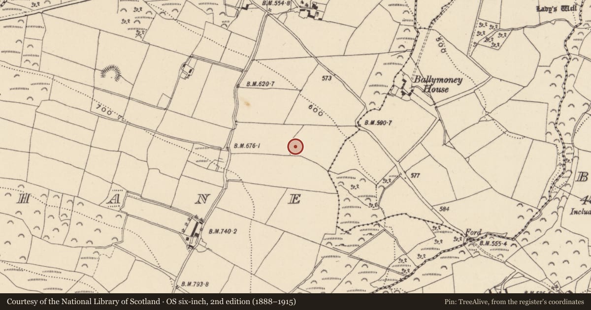 Ordnance Survey six-inch map, 2nd edition (1888–1915) covering the location of Ringfort - rath, Ballyshane, County Wicklow, with a pin at the register's coordinates