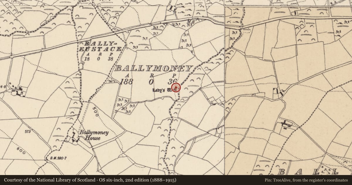 Ordnance Survey six-inch map, 2nd edition (1888–1915) covering the location of Ritual site - holy well, Ballymoney, County Wicklow, with a pin at the register's coordinates