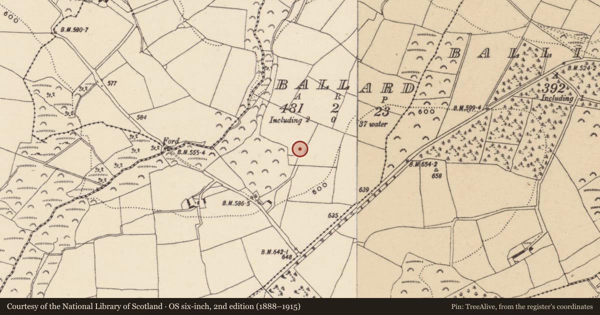 Ordnance Survey six-inch map, 2nd edition (1888–1915) covering the location of Enclosure, Ballard, County Wicklow, with a pin at the register's coordinates