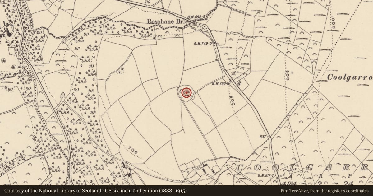 Ordnance Survey six-inch map, 2nd edition (1888–1915) covering the location of Graveyard, Rosahane, County Wicklow, with a pin at the register's coordinates