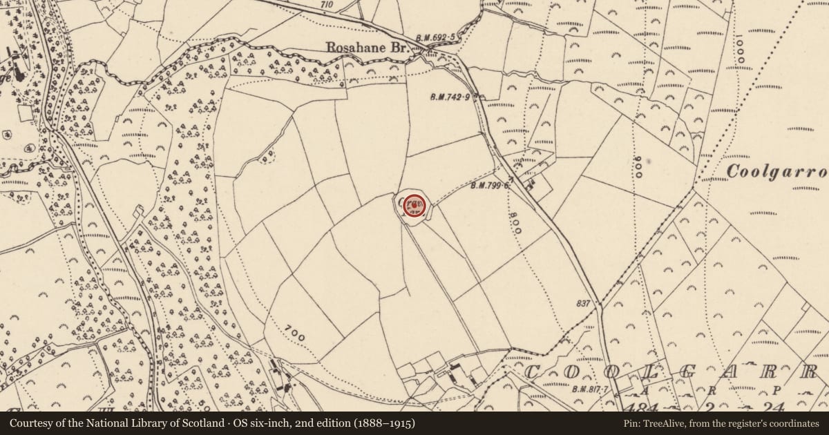 Ordnance Survey six-inch map, 2nd edition (1888–1915) covering the location of Font, Rosahane, County Wicklow, with a pin at the register's coordinates