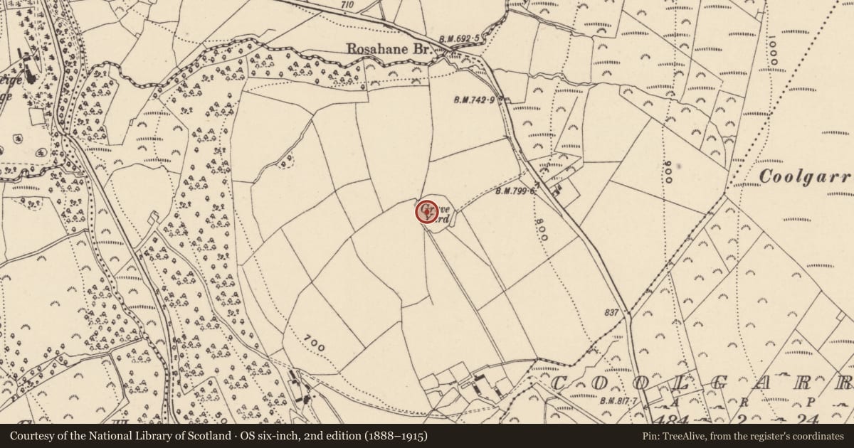 Ordnance Survey six-inch map, 2nd edition (1888–1915) covering the location of Church, Rosahane, County Wicklow, with a pin at the register's coordinates