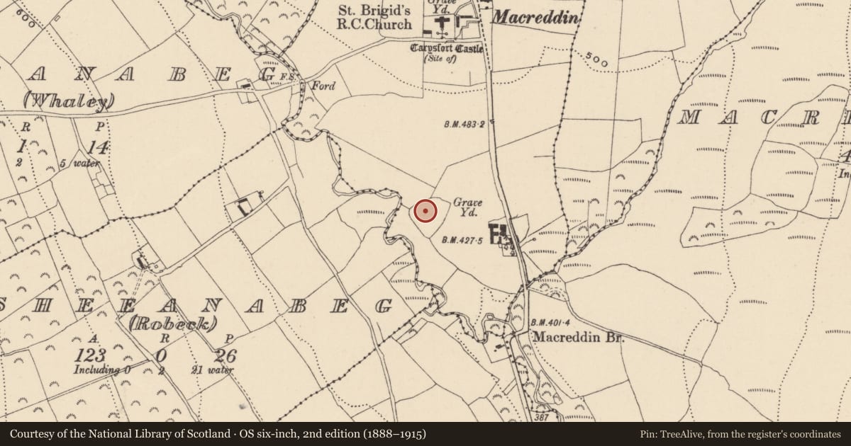 Ordnance Survey six-inch map, 2nd edition (1888–1915) covering the location of Enclosure, MacReddin West, County Wicklow, with a pin at the register's coordinates
