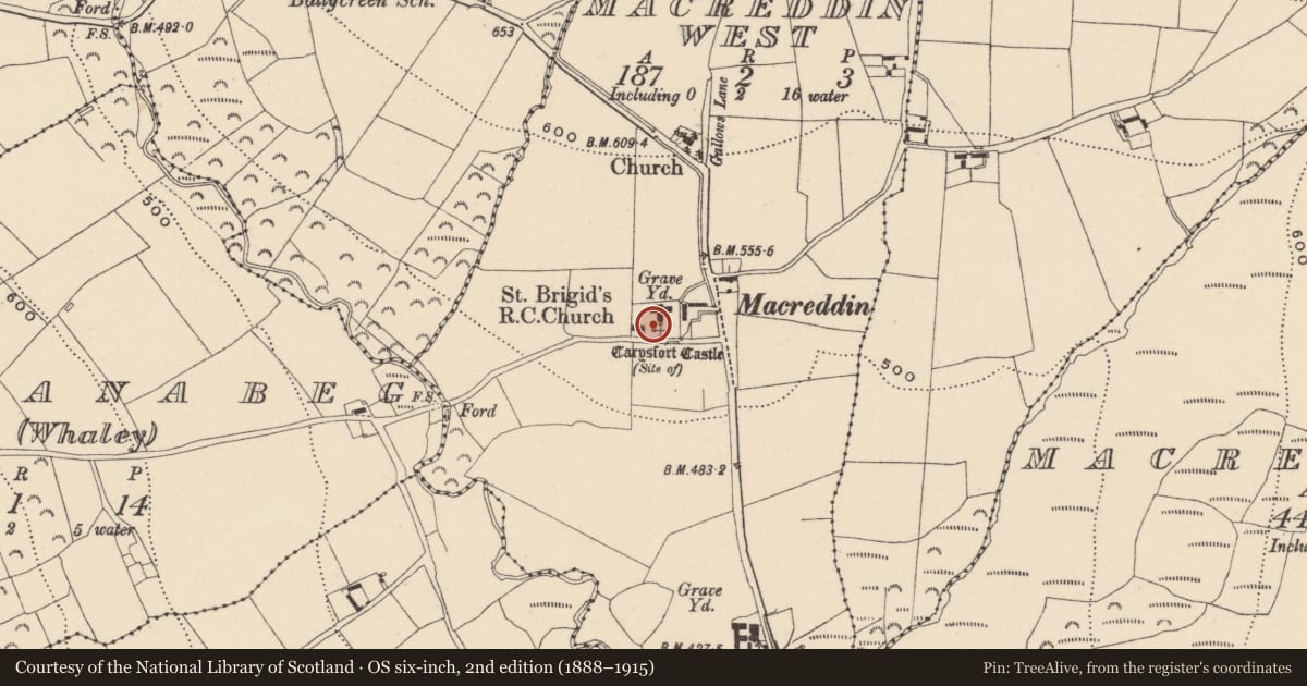 Ordnance Survey six-inch map, 2nd edition (1888–1915) covering the location of Fortification, MacReddin West, County Wicklow, with a pin at the register's coordinates