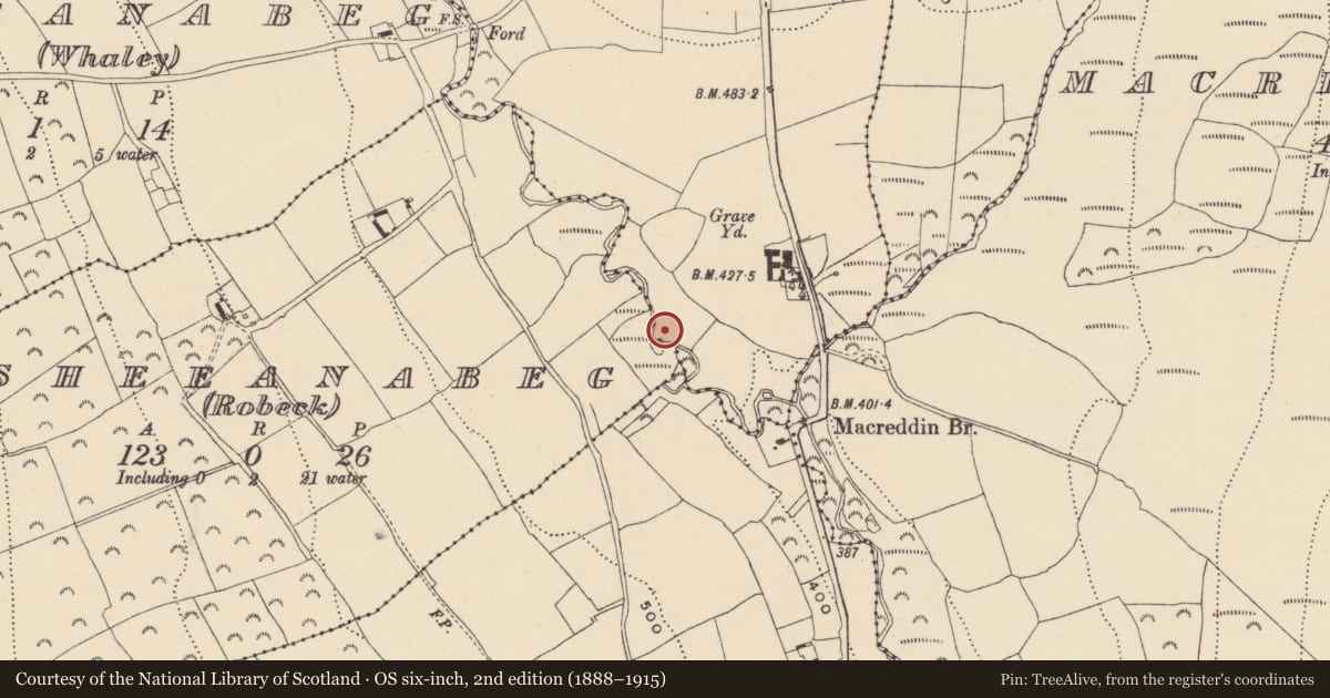 Ordnance Survey six-inch map, 2nd edition (1888–1915) covering the location of Fulacht fia, MacReddin West, County Wicklow, with a pin at the register's coordinates