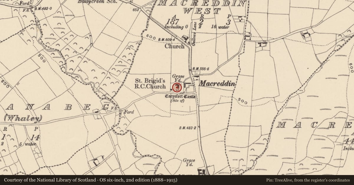 Ordnance Survey six-inch map, 2nd edition (1888–1915) covering the location of Cross, MacReddin West, County Wicklow, with a pin at the register's coordinates