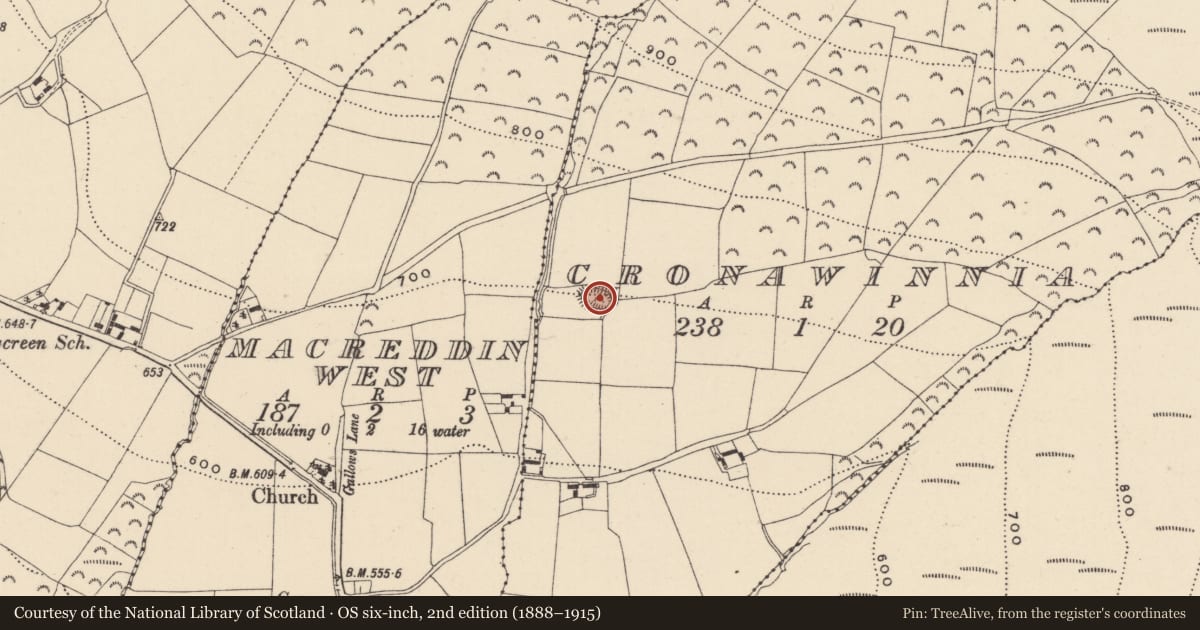 Ordnance Survey six-inch map, 2nd edition (1888–1915) covering the location of Enclosure, Cronawinnia, County Wicklow, with a pin at the register's coordinates
