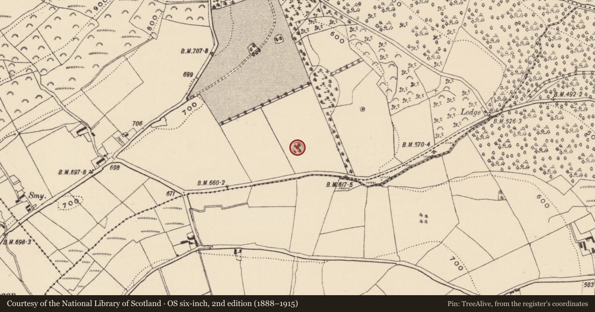 Ordnance Survey six-inch map, 2nd edition (1888–1915) covering the location of Enclosure, Coolballintaggart, County Wicklow, with a pin at the register's coordinates