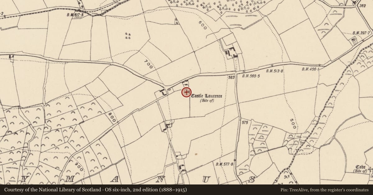 Ordnance Survey six-inch map, 2nd edition (1888–1915) covering the location of Castle - unclassified, Ballymanus, County Wicklow, with a pin at the register's coordinates