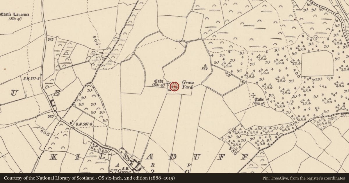 Ordnance Survey six-inch map, 2nd edition (1888–1915) covering the location of Church, Killaduff, County Wicklow, with a pin at the register's coordinates