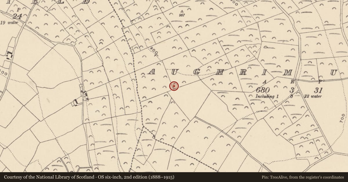 Ordnance Survey six-inch map, 2nd edition (1888–1915) covering the location of Enclosure, Aughrim Upper, County Wicklow, with a pin at the register's coordinates