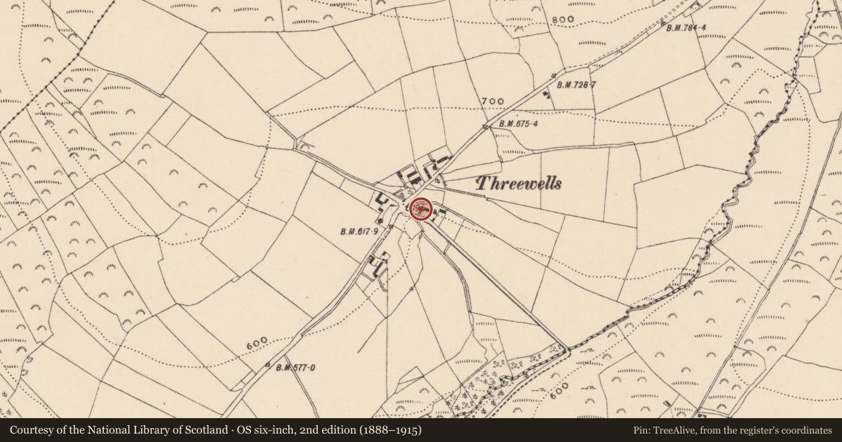 Ordnance Survey six-inch map, 2nd edition (1888–1915) covering the location of Ritual site - holy well, Threewells, County Wicklow, with a pin at the register's coordinates