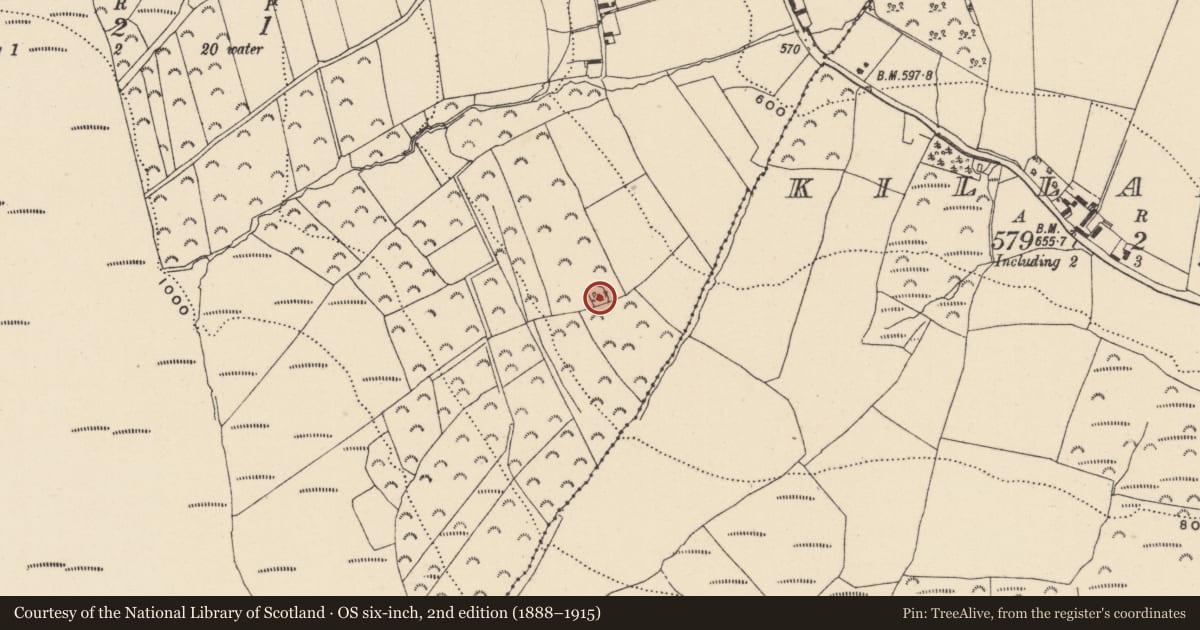 Ordnance Survey six-inch map, 2nd edition (1888–1915) covering the location of Enclosure, Ballymanus, County Wicklow, with a pin at the register's coordinates