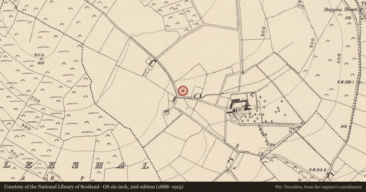 Ordnance Survey six-inch map, 2nd edition (1888–1915) covering the location of Castle - unclassified, Aughrim Upper, County Wicklow, with a pin at the register's coordinates