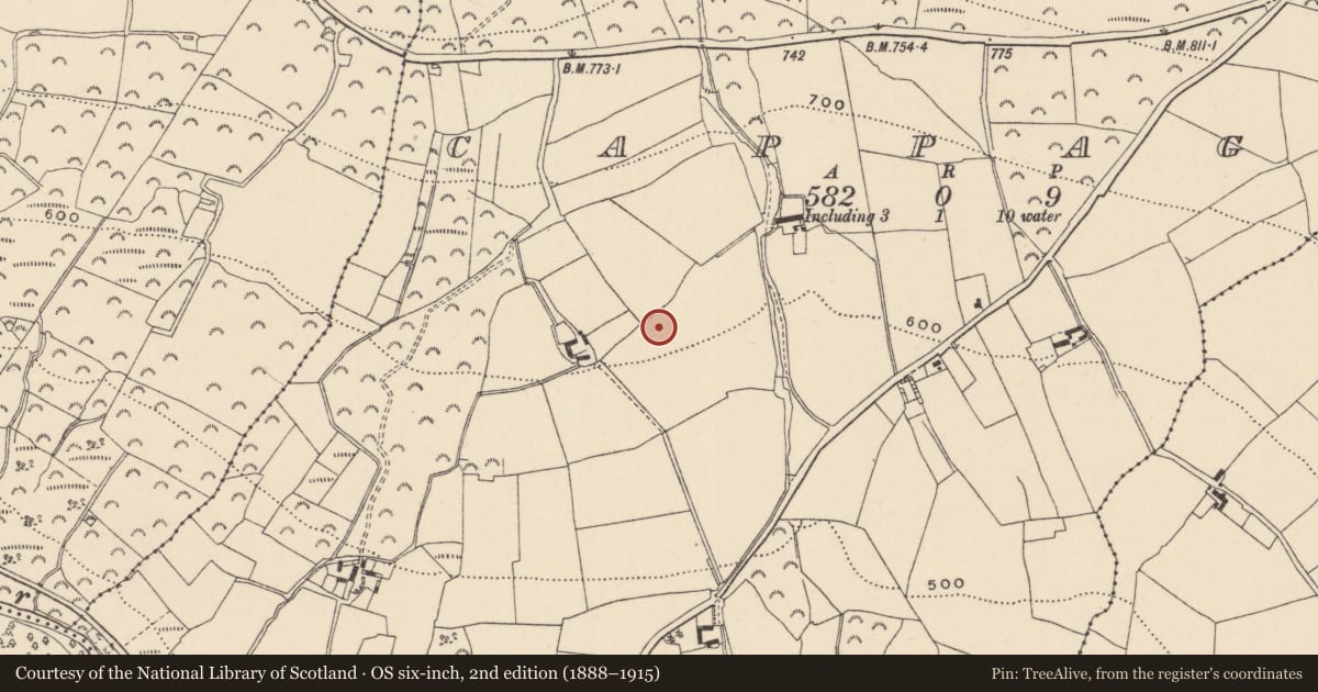 Ordnance Survey six-inch map, 2nd edition (1888–1915) covering the location of Enclosure, Cappagh, County Wicklow, with a pin at the register's coordinates