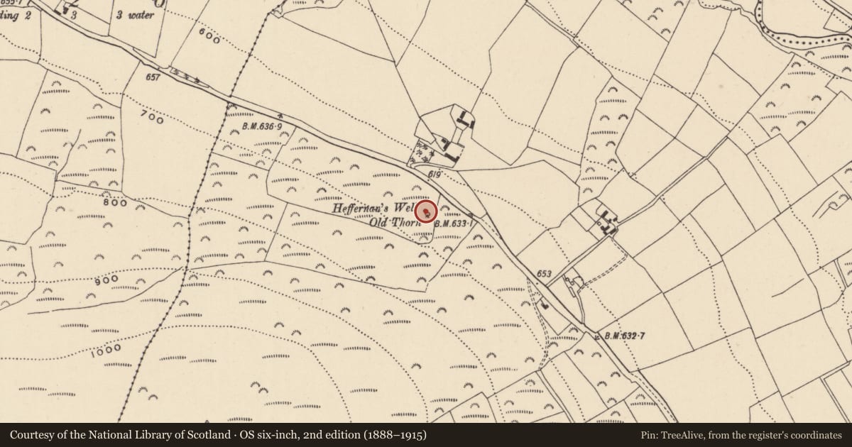 Ordnance Survey six-inch map, 2nd edition (1888–1915) covering the location of Ritual site - holy well, Roddenagh, County Wicklow, with a pin at the register's coordinates