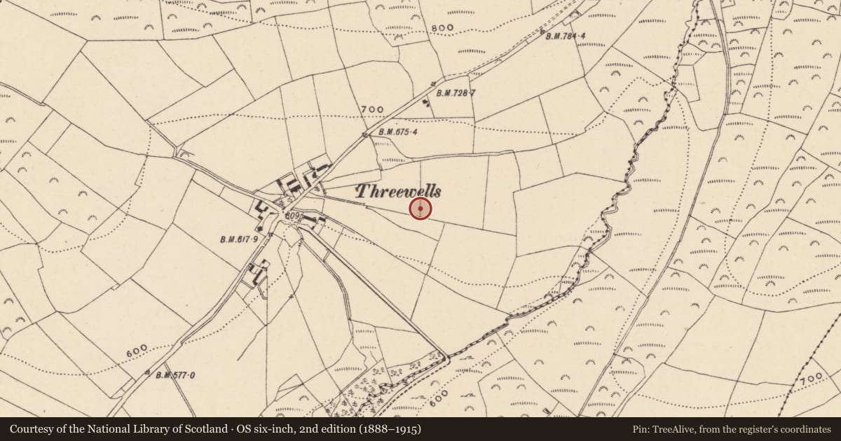 Ordnance Survey six-inch map, 2nd edition (1888–1915) covering the location of Rock art, Threewells, County Wicklow, with a pin at the register's coordinates