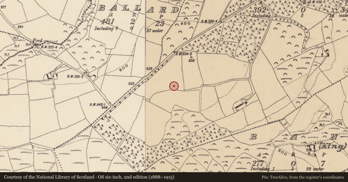 Ordnance Survey six-inch map, 2nd edition (1888–1915) covering the location of Mound, Ballinaclash, County Wicklow, with a pin at the register's coordinates