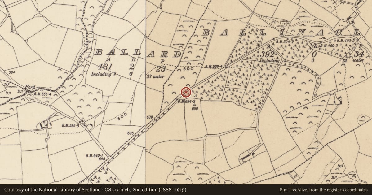 Ordnance Survey six-inch map, 2nd edition (1888–1915) covering the location of Enclosure, Ballinaclash, County Wicklow, with a pin at the register's coordinates