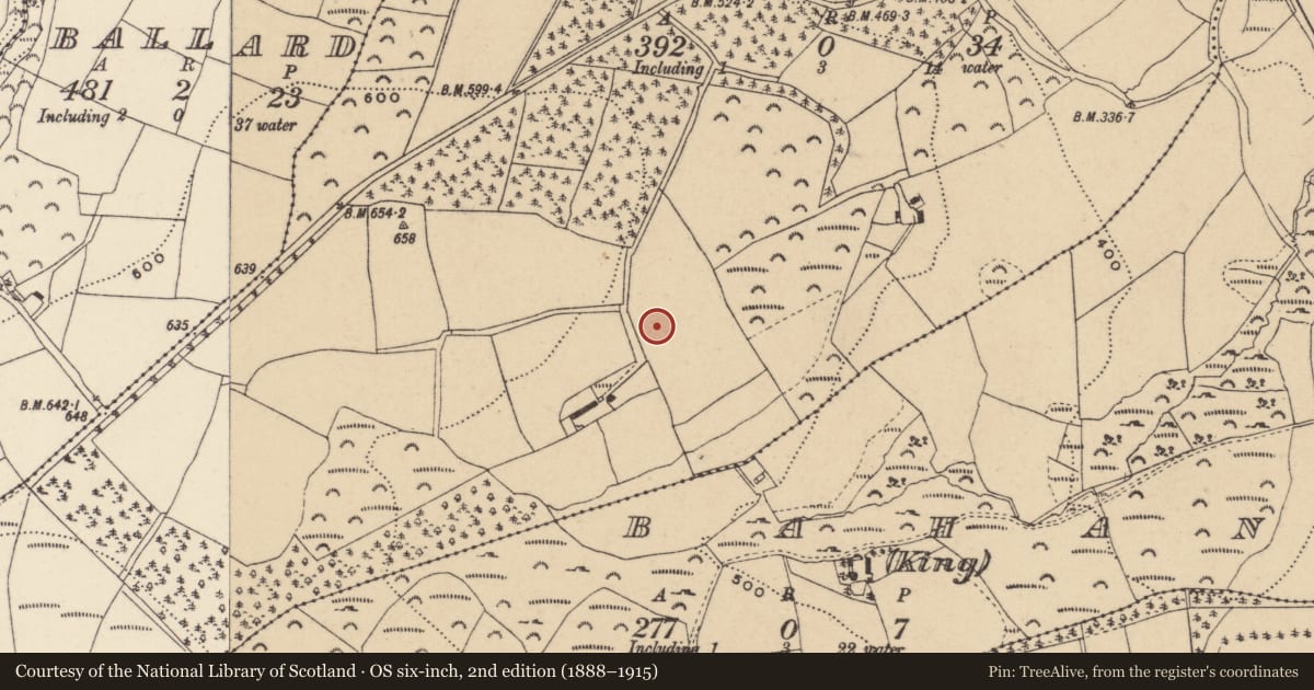 Ordnance Survey six-inch map, 2nd edition (1888–1915) covering the location of Enclosure, Ballinaclash, County Wicklow, with a pin at the register's coordinates