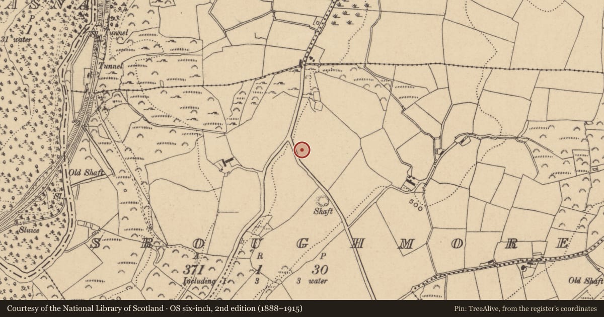 Ordnance Survey six-inch map, 2nd edition (1888–1915) covering the location of Enclosure, Sroughmore, County Wicklow, with a pin at the register's coordinates