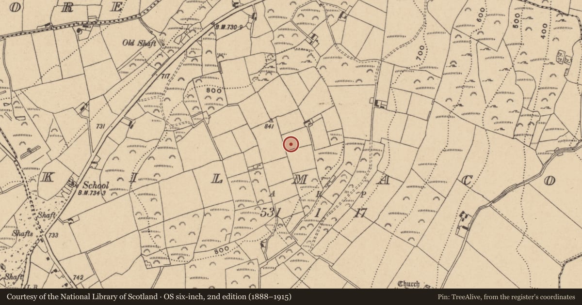 Ordnance Survey six-inch map, 2nd edition (1888–1915) covering the location of Ringfort - cashel, Kilmacoo, County Wicklow, with a pin at the register's coordinates