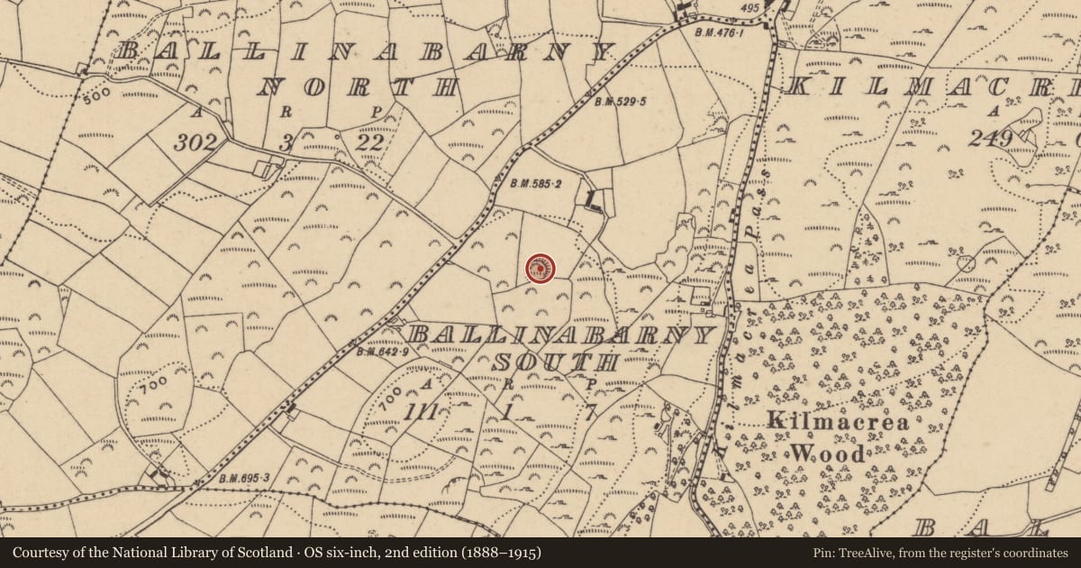Ordnance Survey six-inch map, 2nd edition (1888–1915) covering the location of Ringfort - rath, Ballinabarny South, County Wicklow, with a pin at the register's coordinates