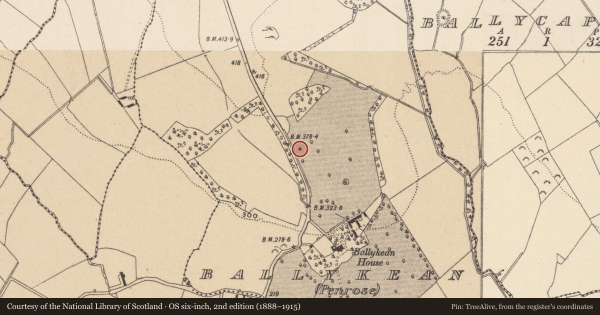 Ordnance Survey six-inch map, 2nd edition (1888–1915) covering the location of Rock art, Ballykean (Penrose), County Wicklow, with a pin at the register's coordinates
