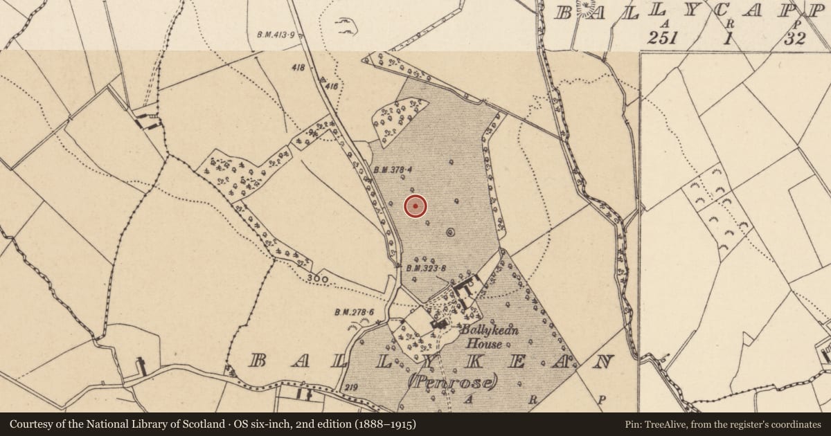 Ordnance Survey six-inch map, 2nd edition (1888–1915) covering the location of Rock art, Ballykean (Penrose), County Wicklow, with a pin at the register's coordinates