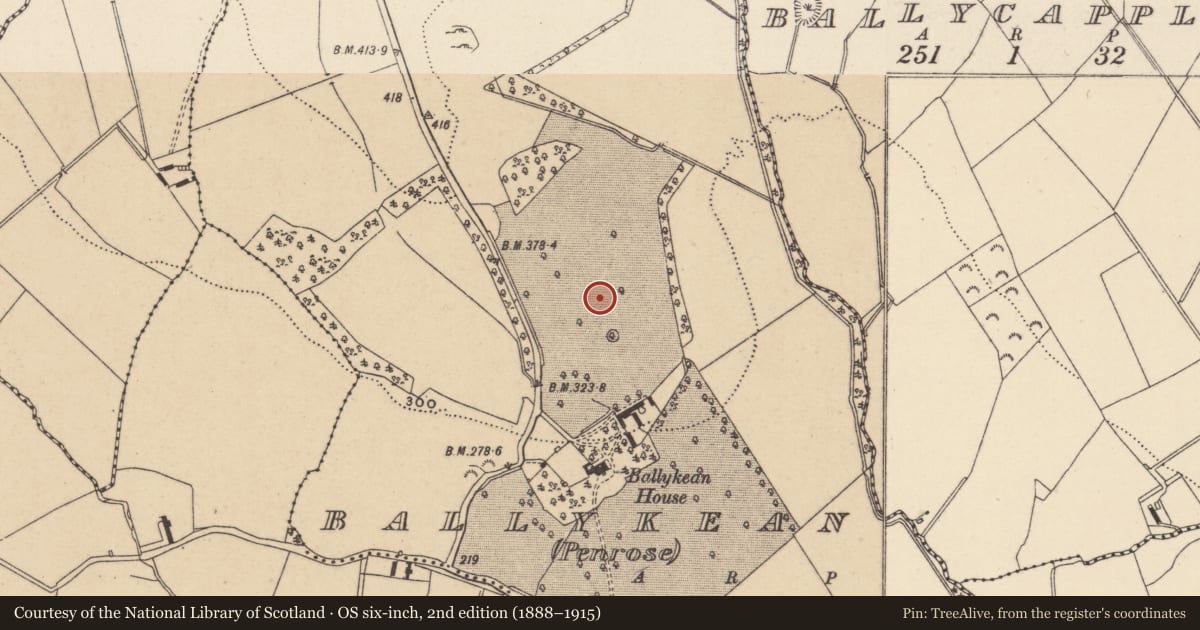 Ordnance Survey six-inch map, 2nd edition (1888–1915) covering the location of Rock art, Ballykean (Penrose), County Wicklow, with a pin at the register's coordinates