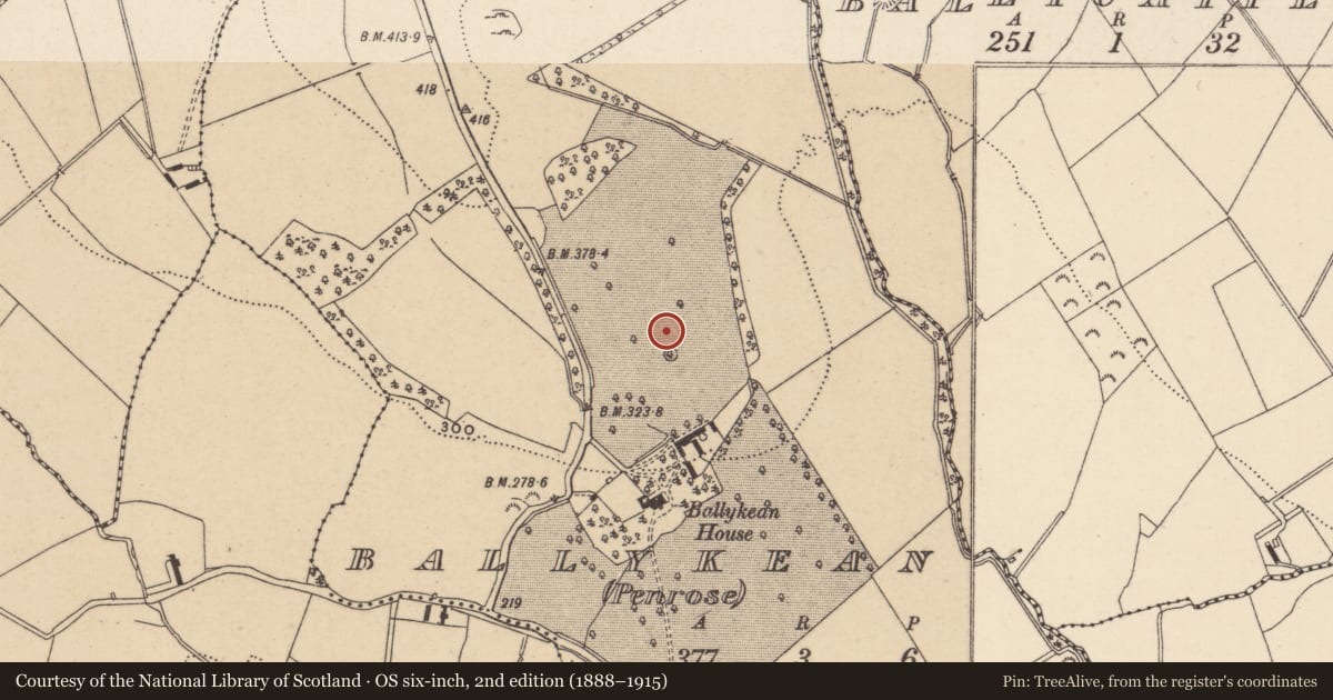Ordnance Survey six-inch map, 2nd edition (1888–1915) covering the location of Rock art, Ballykean (Penrose), County Wicklow, with a pin at the register's coordinates