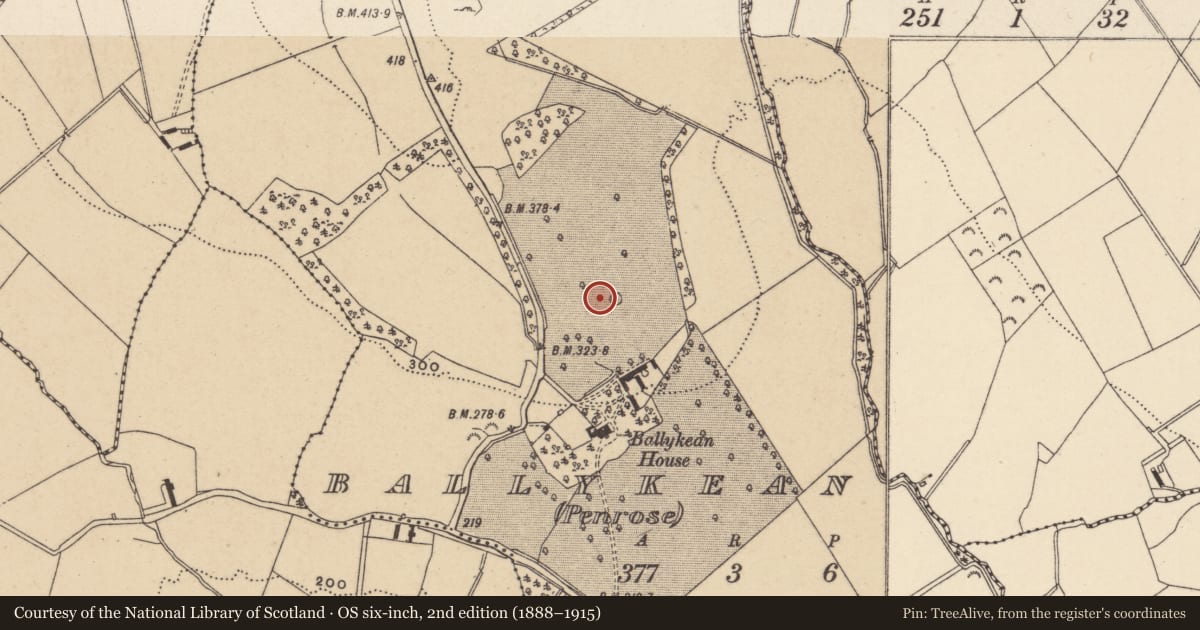 Ordnance Survey six-inch map, 2nd edition (1888–1915) covering the location of Rock art, Ballykean (Penrose), County Wicklow, with a pin at the register's coordinates