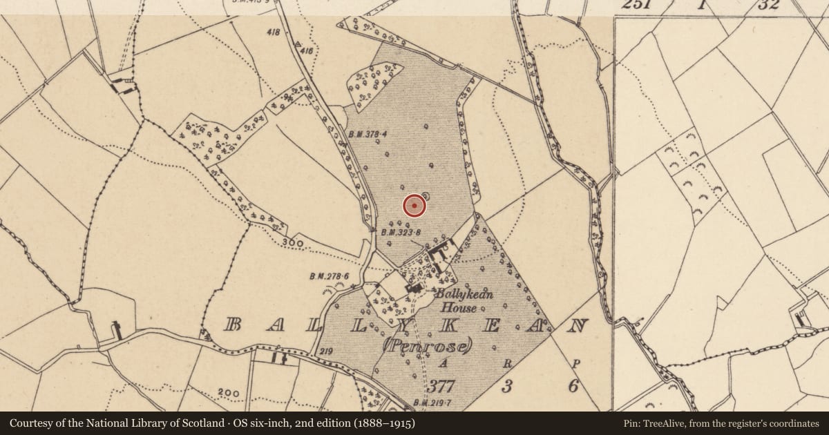 Ordnance Survey six-inch map, 2nd edition (1888–1915) covering the location of Rock art, Ballykean (Penrose), County Wicklow, with a pin at the register's coordinates